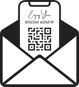 Enjoy your BNESIM eSIM!